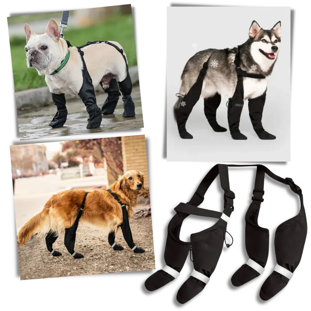 Waterproof Dog Suspenders Boots