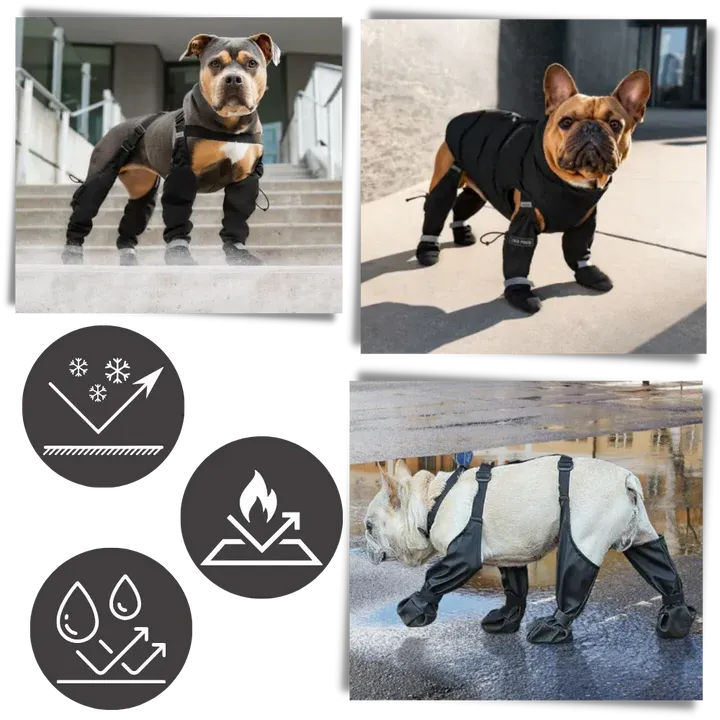 Waterproof Dog Suspenders Boots