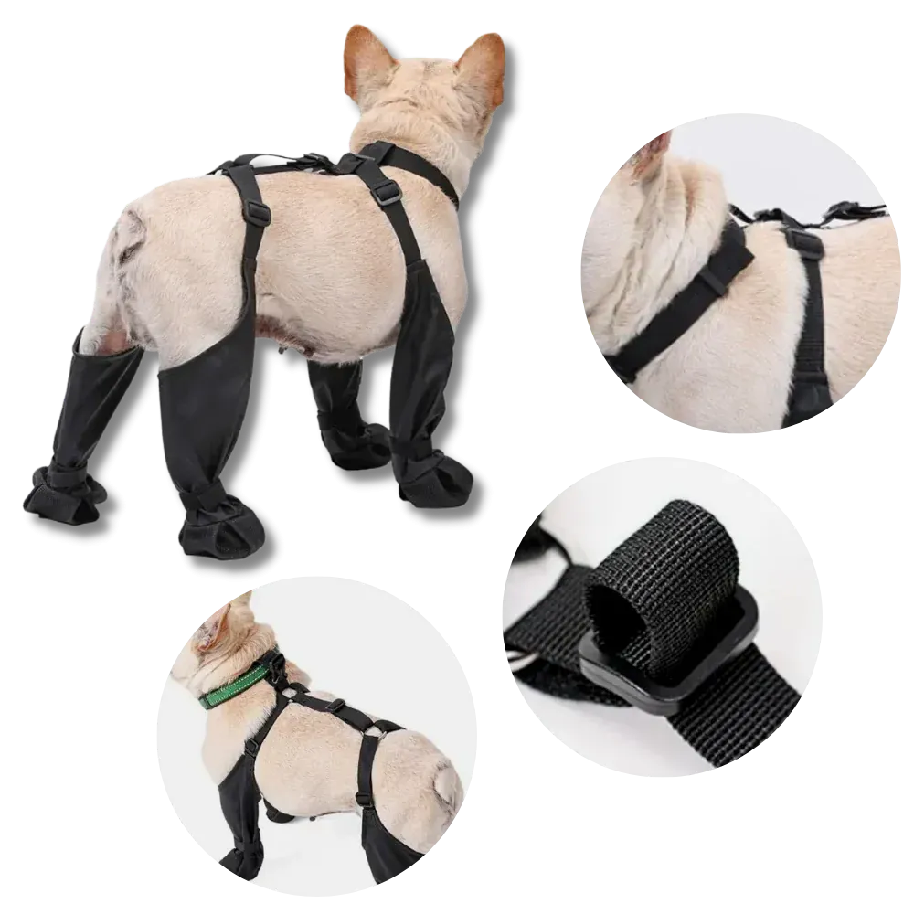Waterproof Dog Suspenders Boots