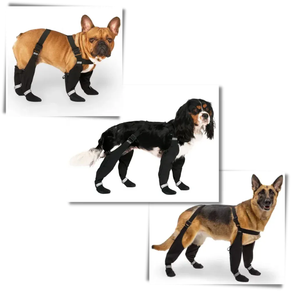 Waterproof Dog Suspenders Boots