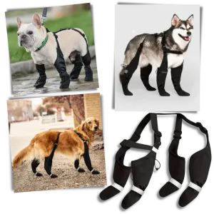 Waterproof Dog Suspenders Boots